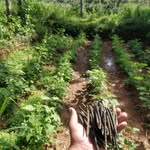 siddarth shetty - @rais.organic.market - Instagram