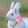 Siddesh_kumar - @siddesh_kumar - TikTok