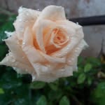 Siddesh Kumar - @siddeshkumar56 - Instagram