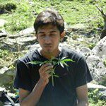 Siddharth Parikh - @siddharthhparikh - Instagram