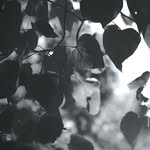 Siddharth Srinivas - @siddharth5__ - Instagram