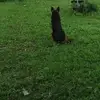 Siddharth Srinivasan - @siddharthsrinivasan94 - TikTok