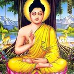 Siddharth Tambe - @siddharth.tambe.54540 - Instagram
