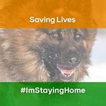 Siddharth Vora - @siddharthvora1 - Instagram