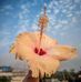 Siddhartha Kumar - Facebook
