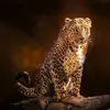 @Siddhartha Rathod - @siddharth_425 - TikTok