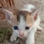 Sîdhárthà Das - @sidhartha132 - Instagram
