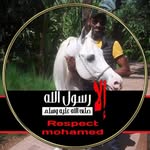 Sidi Mohamed Banouj - @sidimohamedbanouj - Instagram