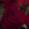 Sidney Atkins591 - @sidneyatkins591 - TikTok