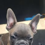 Sidney Atkins - Facebook