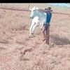 Sidney Charles - @sidney.charles1 - TikTok