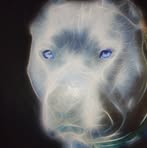 Sidney Cotton - Facebook