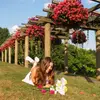 Sidney Esposito - @sidney.espo - TikTok