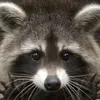 Sidney Flores - @sidney.flores7 - TikTok