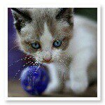 Sidney Foreman - @art3mis2001_ - Instagram