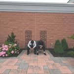 sidney fry - @sidney9842qu - Instagram