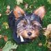 Sidney Fuller - Facebook