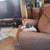 Sidney Galloway - Facebook