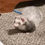 Sidney - @sidney.geez - Instagram