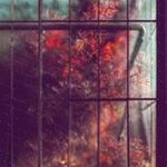 Habiba Hermanns - @sidneygerber366 - Instagram