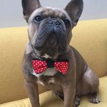 Sidney giles - @sidn.eythefrench - Instagram