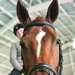 Sidney Goff - @a.positive.equestrian - Instagram