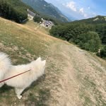 Sidney - @sidney_graham67du - Instagram