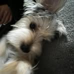 Sidney Gray - Facebook