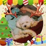 Sidney Hamby - @sidneyhamby - Instagram