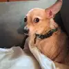 Sidney Helms - @sidney.helms3 - TikTok