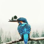 Sidney Hernandez - @sidney.hernandez.92 - Instagram