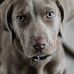 Sidney Hinson - Facebook