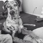 Sidney - @sidney_hoffman - Instagram