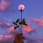 گودزیلای هشتادی🌚 - @sidney_houstonn - Instagram