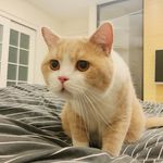 Sidney Huang - @sidneyhuang7 - Instagram