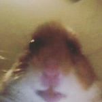 sidneyh9923 - @sidney.hubbard1234 - Instagram