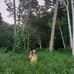 Sydney Jacobson - Facebook