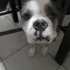 isagi_yochi - @sidney.johnson93 - TikTok