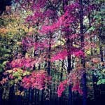 Sidney_Keith - @sidney_keithk - Instagram