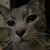user3897917667445 - @sidney.mckeithan - TikTok