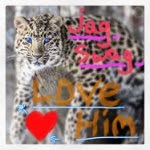•Sidney,Kennedy,Gorgia😍 - @cheer_k.k._squirt - Instagram