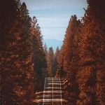 Batur Koyuncu - @sidneykuozc43ng4 - Instagram