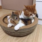 Lam Sidney - @lamsidney63 - Instagram