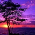 Jose Sidney Lamari - @josesidneylamari - Instagram