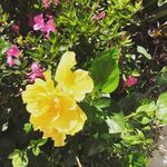 Sidney Lang - @langsidney - Instagram