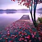 Sydney Landon - Facebook