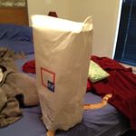 Sidney Lange - @sidney0035 - Instagram