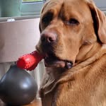 SIDNEY LAWRENCE MCLAREN - @sidn.ey1230 - Instagram
