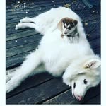 Sidney Leach - @sid5901_spam - Instagram