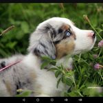 sidney rhae leach - @sidneyrhae - Instagram